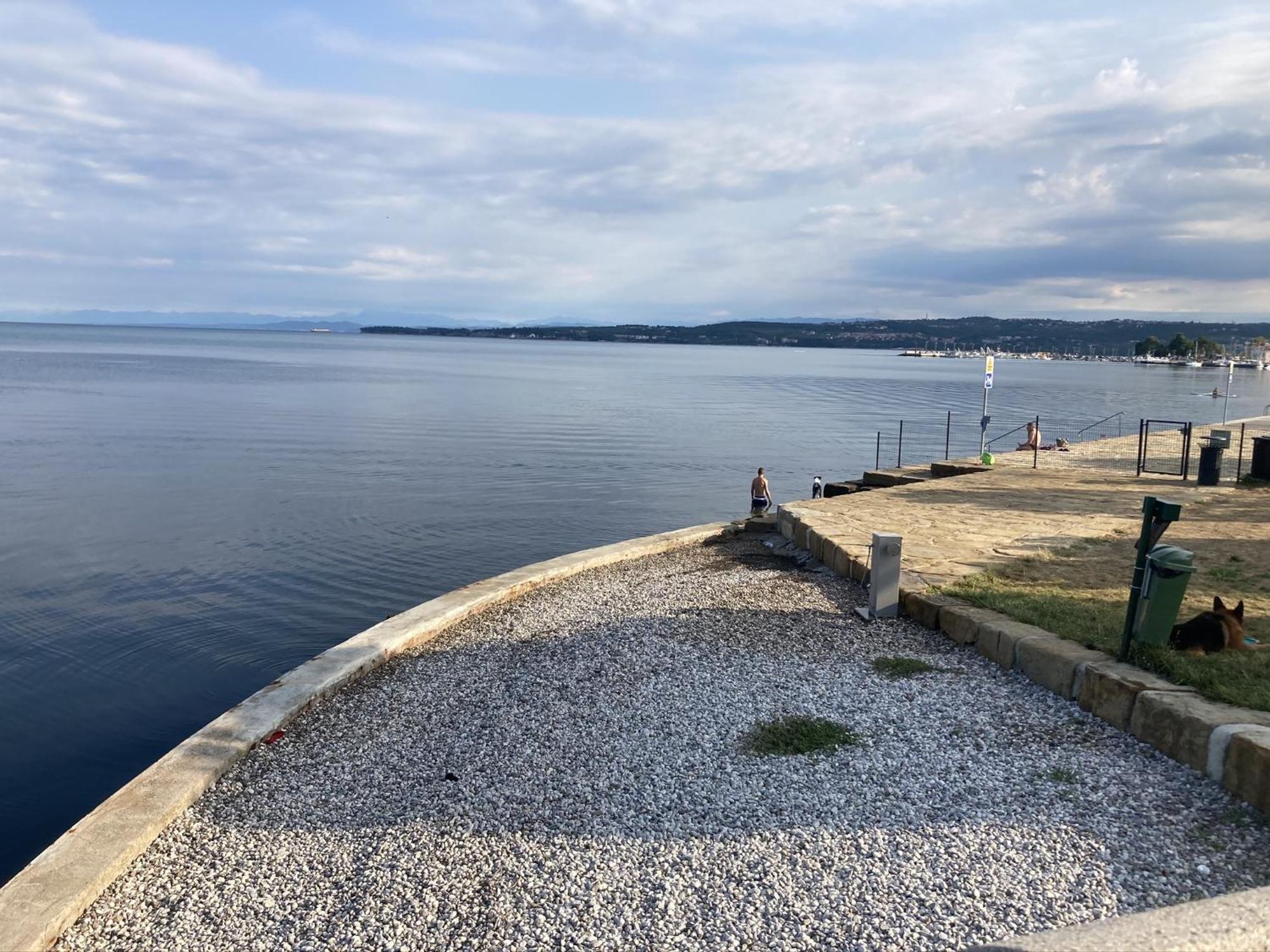 Apartments Colors Of Koper Where The Sea Is Near By Rom bilde